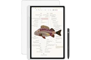 XPPen 3 in 1 Color Digital Notebook 10.95'' Paper Note Taking Tablet with 16384 Pressure Levels Battey-Free X3 Pro Pencil 2 M