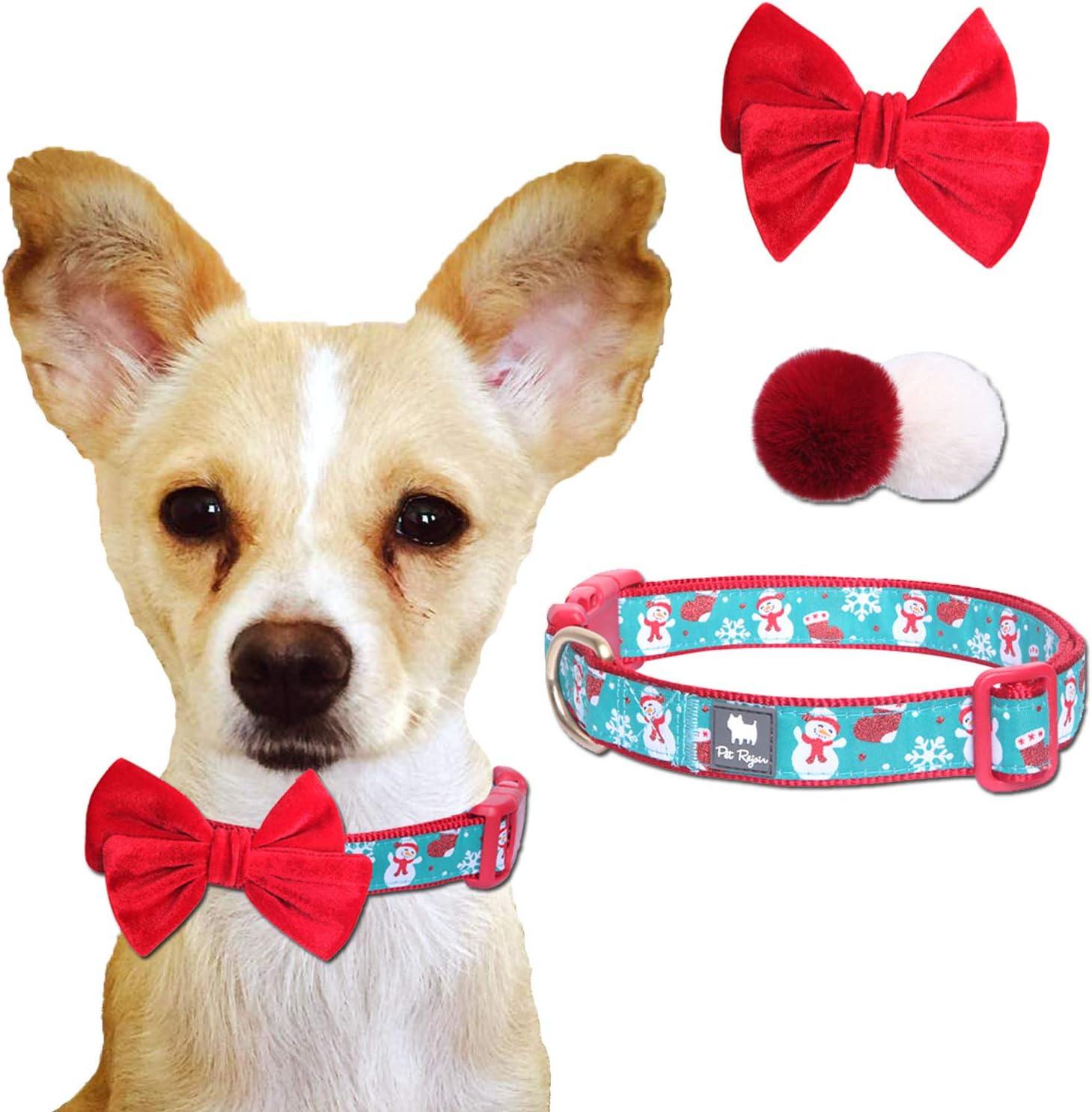 Top 9 Holiday Time Christmas Decor Dog The Beauty Life