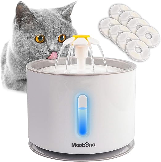 amazon cat fountain filters