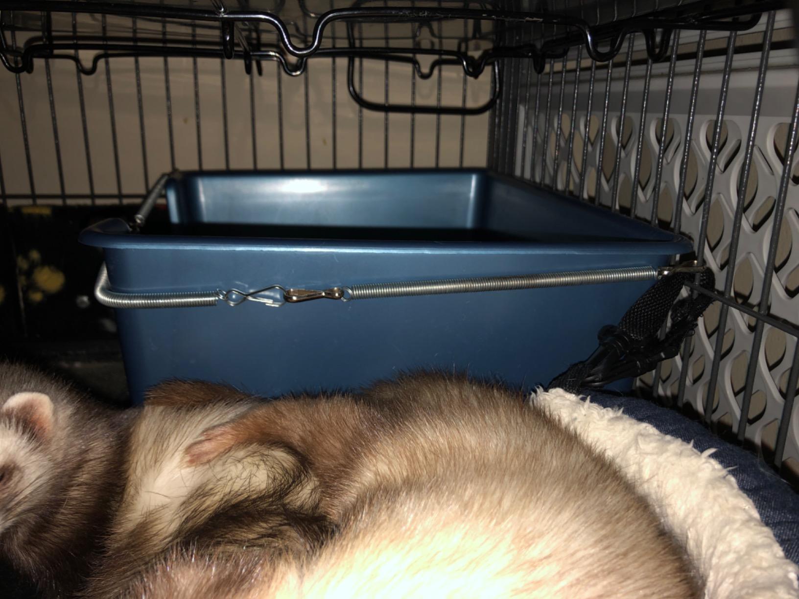 9/mo Finance Marshall High Back Ferret Litter Pan (Set of 2 Pans