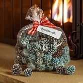 Fireplace Color Cones, Festive Fun Rainbow Flame Changing Pine Cones, Firepit Campfire Hearth Wood Burning Accessories for Holidays or Anytime (2 LB in Poly Bag)