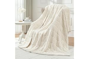 Wemore Jacquard Fleece Weighted Blanket Queen Size 60" x 80" 15lbs, Ultra Soft Cozy Sherpa Weighted Blankets for Adults, Ultra Fuzzy Heavy Blanket for Sleep, Fluffy Warm Throw for Bed, Cream White