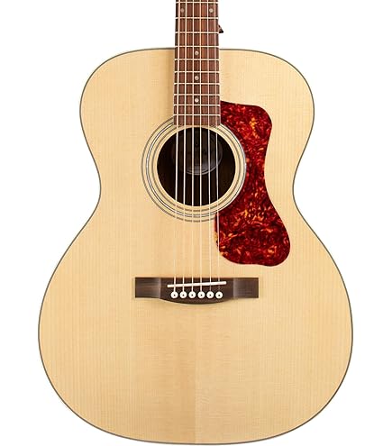 Amazon.com: Guild Guitars D-240E 限量原聲吉他,自然,恐懼的