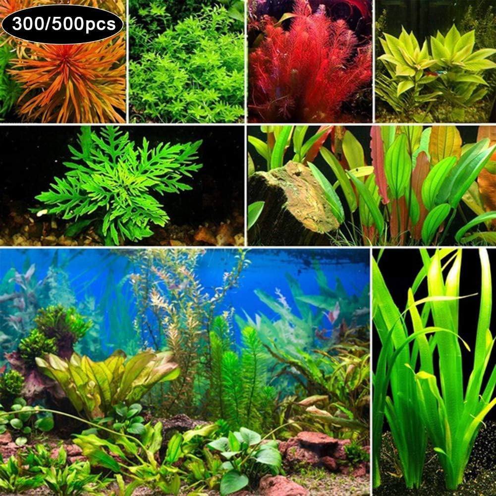 HVdsfy Funny Planting, 300/500Pcs Rare Aquatic Plant Seeds Aquarium Underwater Moss Grass Stem Decor - 500pcs Mixed Style Aquatic Plant Seeds