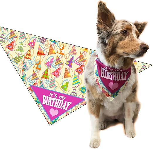 dog birthday scarf