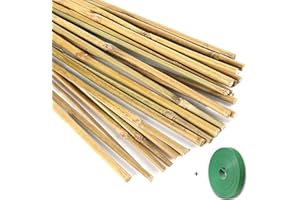 Yowlieu 20 Pcs Natural Bamboo Stakes + 1 Roll Garden Ties, 18 Inches Bamboo Sticks Gardening Plant Support Stakes for Indoor Plants, Tomato, Potted Plants