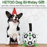 HETOO Interactive Dog Football Toy with Webbing 8 Inch Small Medium Breeds view 7