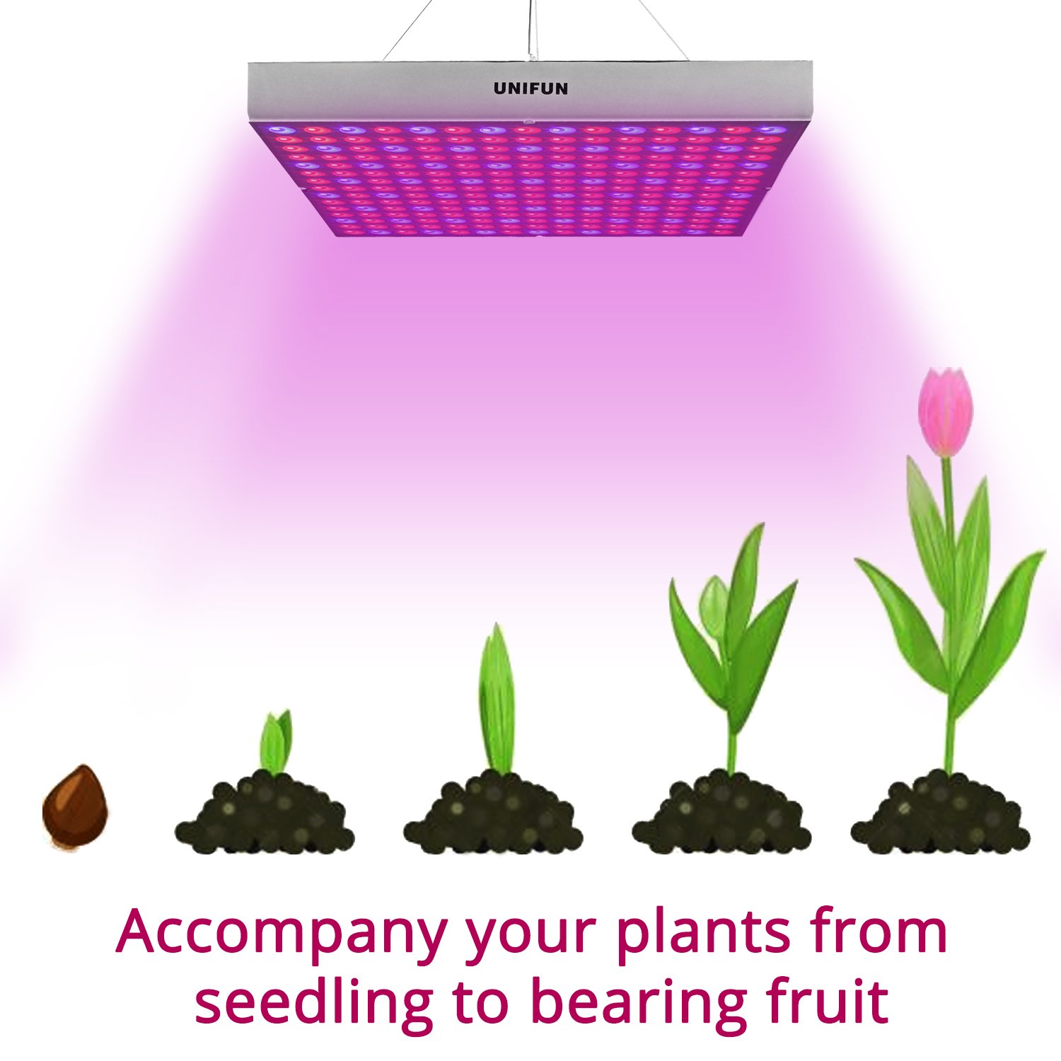 best grow light