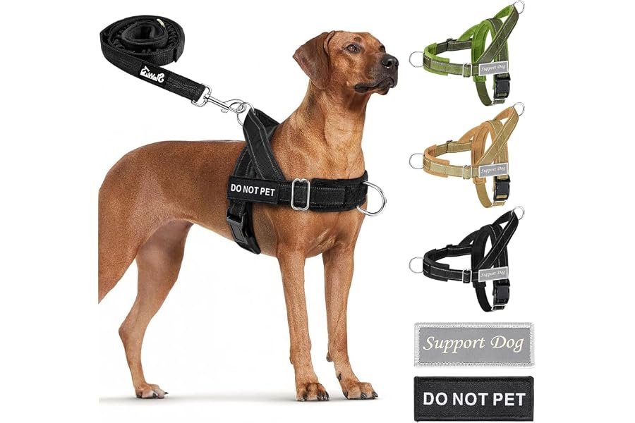 Lukovee No Pull Dog Harness and Leash Set, Soft Padded for Large Medium Dog | Adjustable, with Front Clip Easy Control, No Choke, Durable Reflective Pet Vest Harness for Walking Training (B, L)