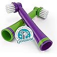 Brusheez Electronic Toothbrush Replacement Brush Heads 2 Pack (Snappy The Crocodile)