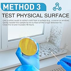 lkiochil Mold Test Kit for Home - 8 Simple