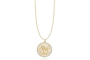 ACC PLANET Constellation Necklace Pendant 14K Gold-Plated Hammered Round Disc Engraved Zodiac Sign Pendant 16.9’’ Adjustable 