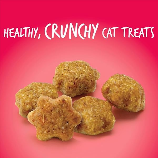 FRUITABLES CAT TREATS, HEALTHY TREATS FOR CATS, LOW CALORIE AND PACKED WITH PROTEIN, CRUNCHY BISCUITS, NO WHEAT, CORN OR SOY, MADE WITH REAL SALMON AND CRANBERRY, 2.5OZ