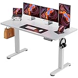 ErGear Height Adjustable Electric Standing Desk, 55