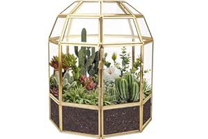 HighFree Large Glass Plant Terrarium, Clear Gift Card Box for Wedding Reception Box, Succulent and Air Planter, Keepsake Home