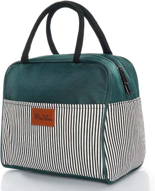 stylish lunch bags for work