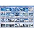 Poster Laminated Clouds Educational Science Chart 24x36