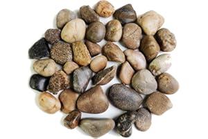 HappyFiller Decorative Natural Pebbles Polished Rocks Stones Mixed Color for Aquarium Gravel,Fish Turtle Tank,Outdoor Indoor Plants Top Dressing,Garden Landscaping,Home Vase Filler Decoration,10 LB