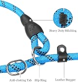 TagME Slip Lead for Dogs 1.8m Reflective Padded Handle Training Leash Blue view 4