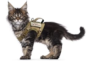 AUGOPAPA Tactical Cat Harness for Walking Escape Proof, Soft Mesh Adjustable Pet Vest Harness for Large Cat,Small Dog (Medium, Khaki)