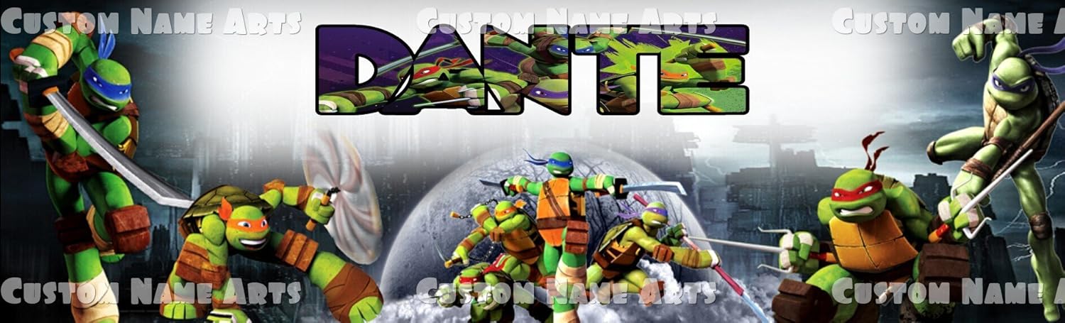 Which Is The Best Ninja Turtle Banner
