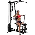 Body-Solid (G1S) Selectorized Weights Stack Home Gym Machine, Arm & Leg Strength Training