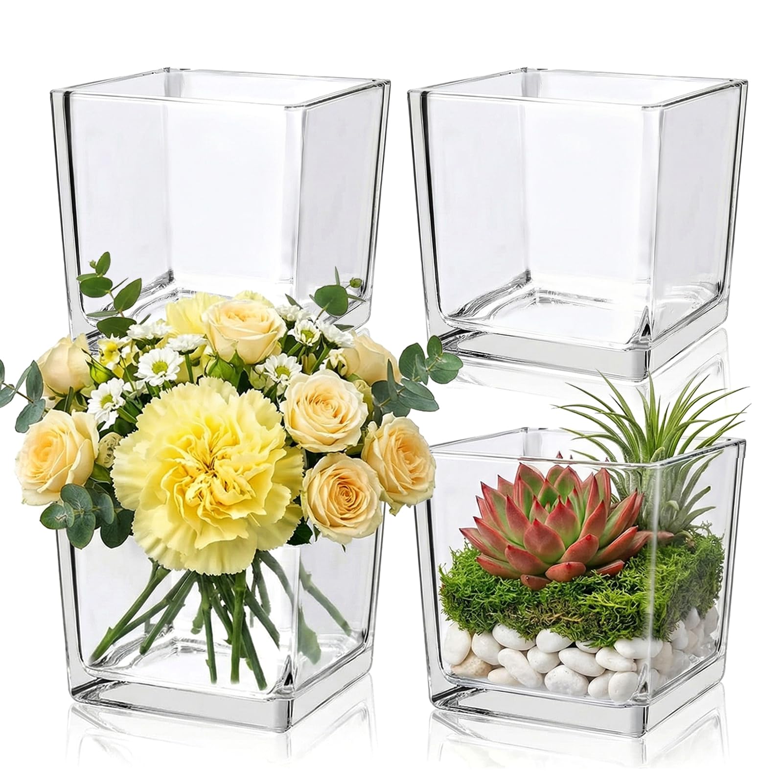 4 pack square glass vase 6" x 6" x 6", clear flower vase for centerpieces,plant terrarium, floating