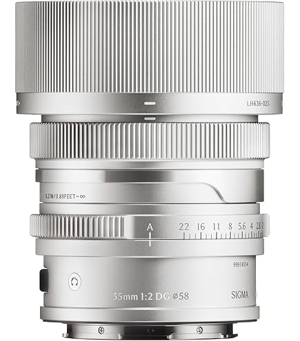 Amazon.com : Sigma 35mm F2 DG (Black) | Contemporary for L Mount