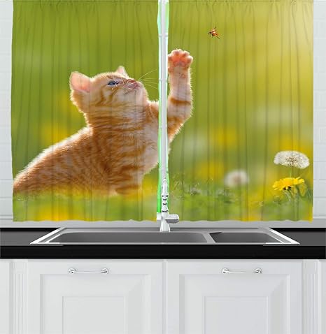 Amazon Com Ambesonne Cat Kitchen Curtains Animal Theme Cat