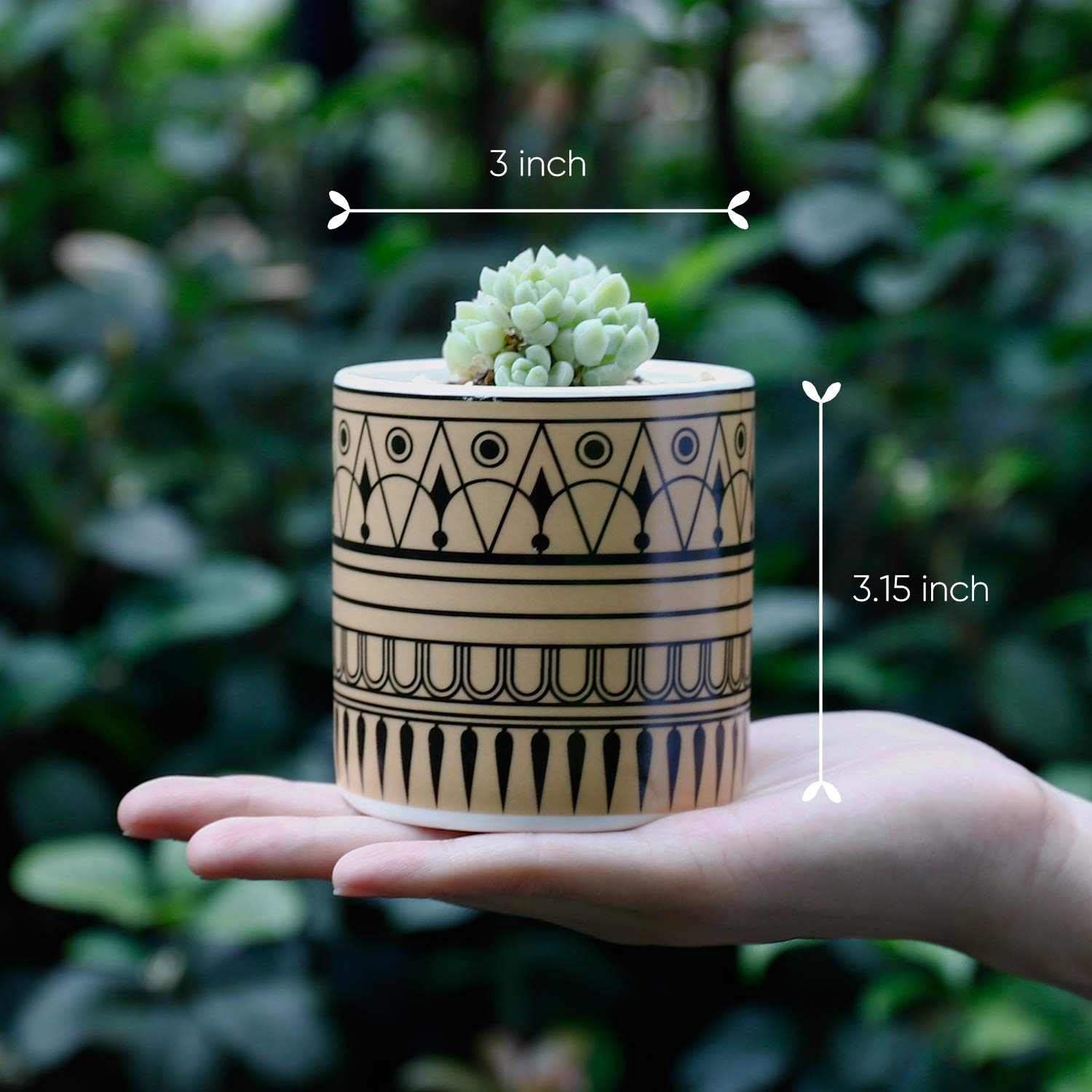 Greenaholics Succulent Plant Pots - 3 Inch Cylinder Greek Sytle Ceramic Planter for Cactus, Succulent Planting, with Drainage Hole, Bamboo Trays, Set of 3 - Image 3