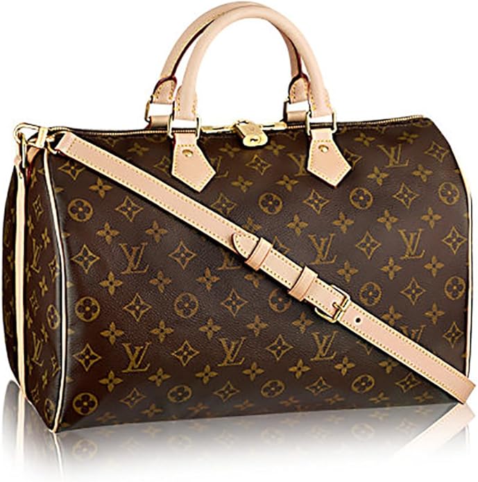 louis vuitton speedy chain 20