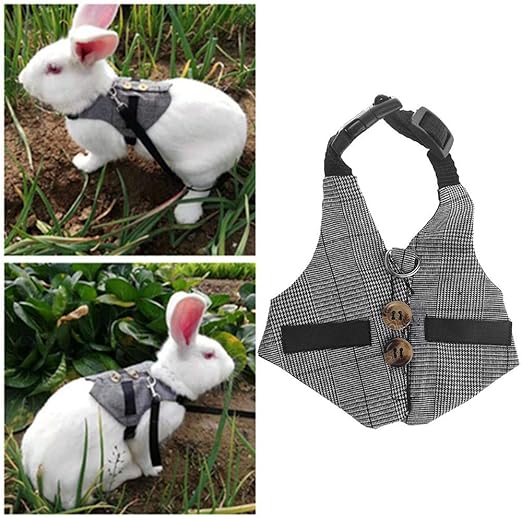 Frettchen Geschirr & Leine Set – Verstellbares Brustgeschirr Mit Glöckchen, Für Kleintiere Wie Kaninchen