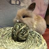 CAMITER 6pcs Timothy Grass Rabbit Chew Ball Small Animal Toys view 7