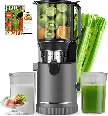 SJ-065 Entsafter Slow Juicer, 400W, 152 mm XL-Einfüllschacht