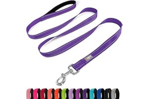 PenSeepet Dog Leash 6 FT Padded Handle Nylon Reflective Dogs Leashes for Large Dogs Purple