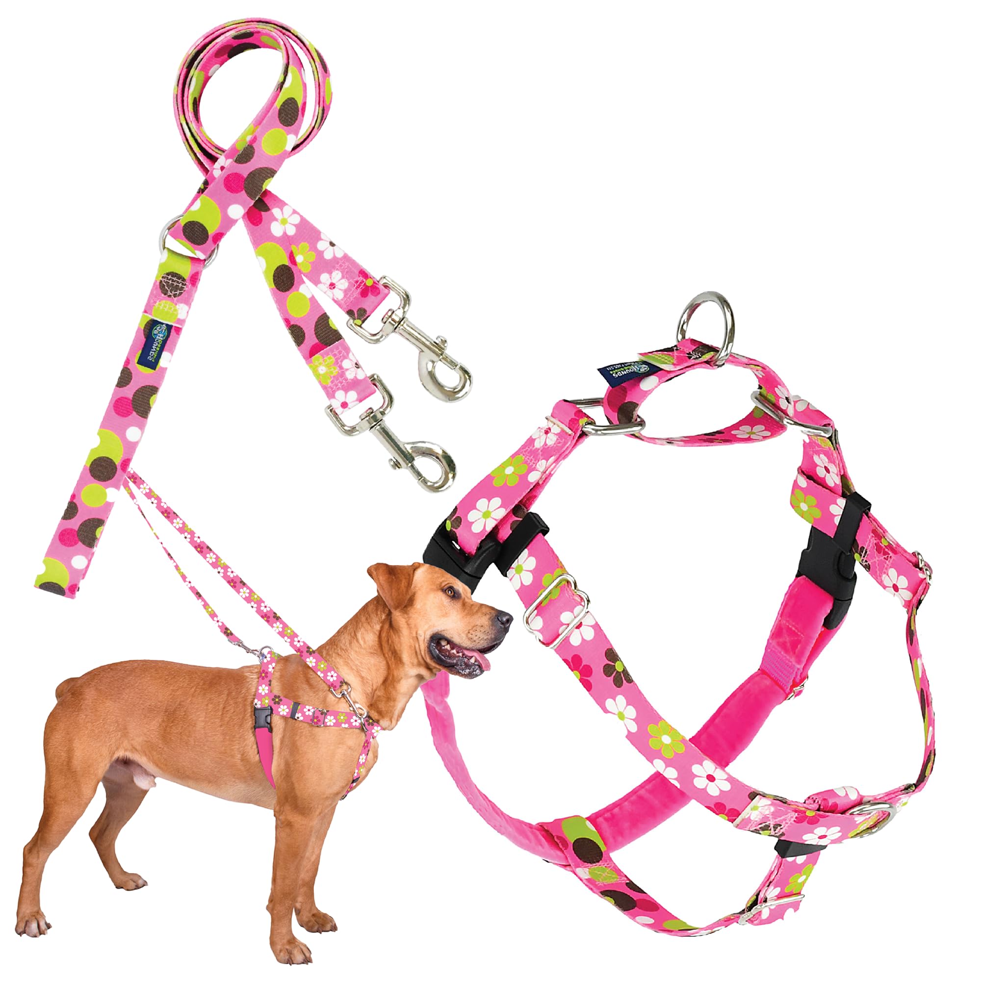 2 Hounds Design Freedom No Pull Dog Harness and Leash | Adjustable Gentle Comfortable Control for Easy Dog Walking |for Small Medium and Large Dogs | EarthStyle Designs | Made in USA โ image 1