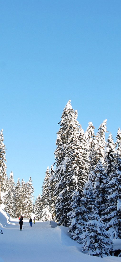 PeelitStickit, Beautiful Nature Wall Murals, ID-3204, vinyl