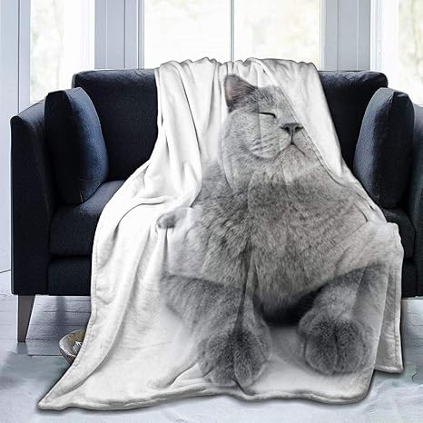 Amazon Co Jp ブリティッシュショートヘアの猫 猫柄 ネコ 着る毛布 ブランケット 秋冬用 暖かい 掛け毛布 厚手 もうふ マイクロファイバー 二枚合わせ おしゃれ 襟付き 洗える ふわふわ 静電防止 ダブル ホーム キッチン