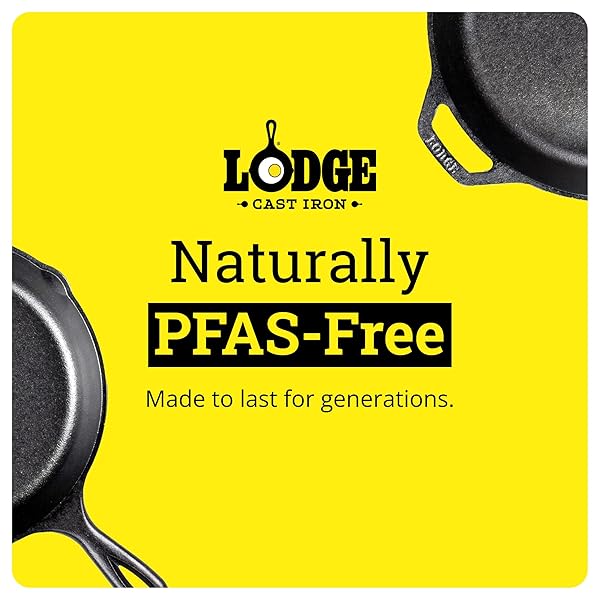 LODGE CAST IRON BAKING PAN