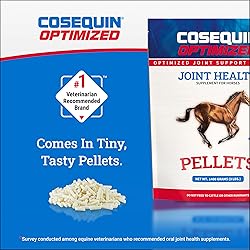 Nutramax Cosequin Optimized Pellets with MSM Joint