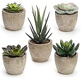 Coitak Artificial Succulent Plants Potted, Assorted Decorative Faux Succulent Potted Fake Cactus Cacti Plants with Pots, Set 