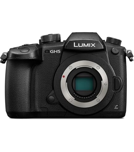 【プライスダウン！】Panasonic LUMIX Amazon.co.jp: パナソニック(Panasonic) 高倍率ズームレンズ