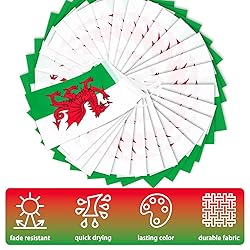 Wales String Flag Pennant Banner, Small Mini Welsh