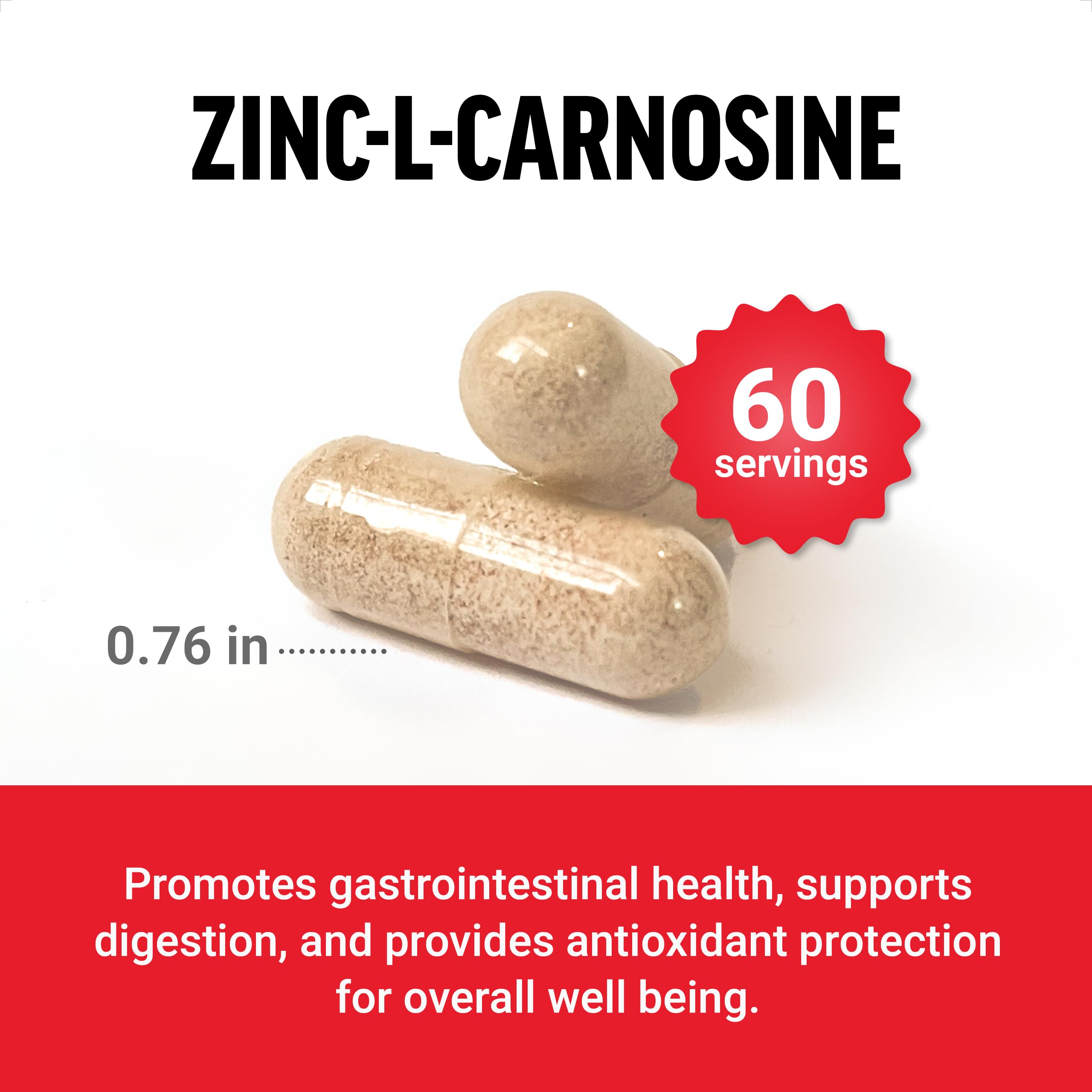 FORCE FACTOR Zinc L-Carnosine Capsules to Support Gastric and Digestive Health, Digestion and Bloating Supplement, Vegan, Non-GMO, No Gelatin, 120 Capsules