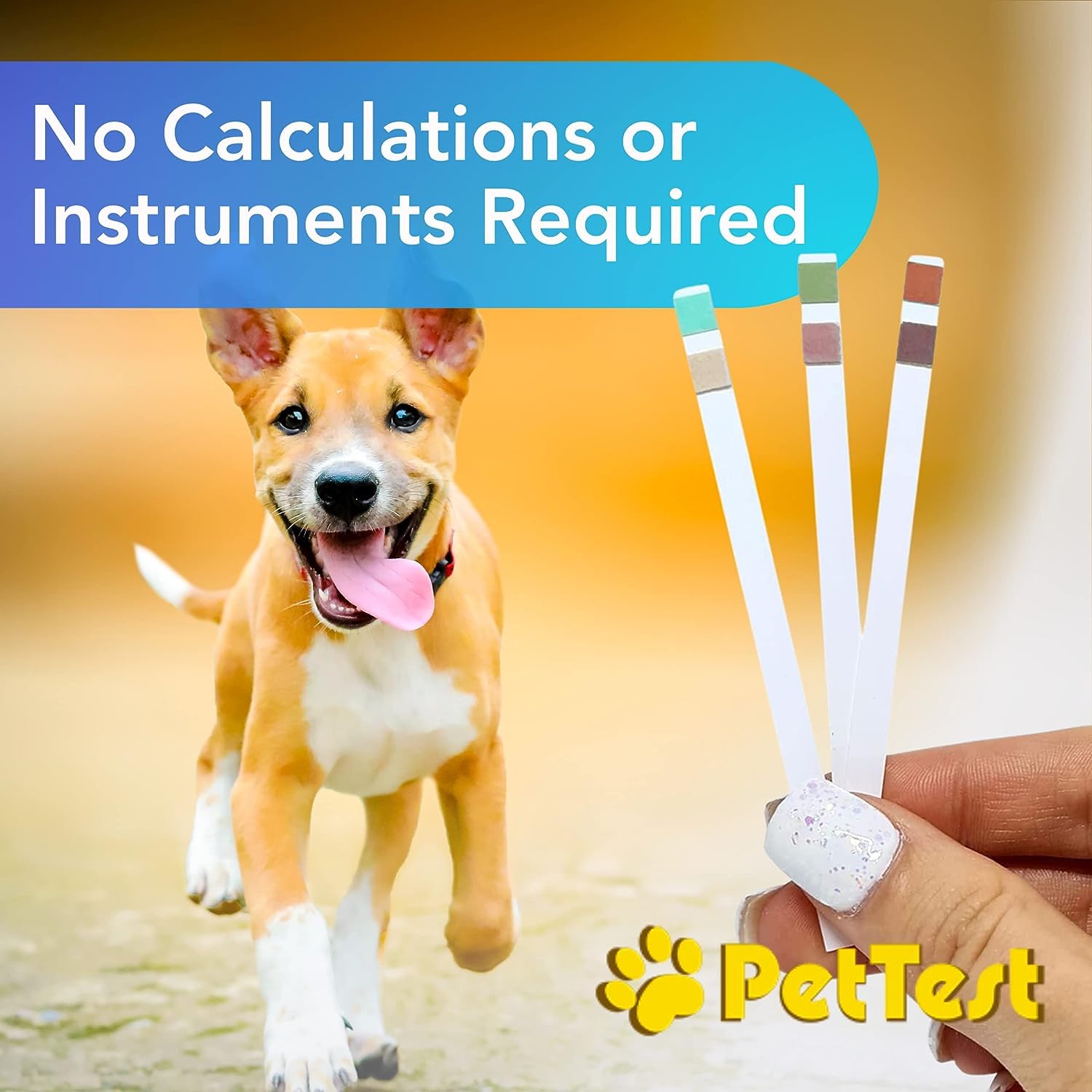 Pet Urine Test Strips Ketone Glucose Strips for Dogs and Cats Urinalysis (50 Strips) Monitoring and Avoid UTI by Advocate Pettest