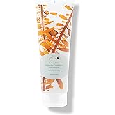 100% PURE Kelp & Mint Volumizing Conditioner Moisturizer & Deep Hydration - Botanical Body Boost for Dry, Damaged Thinning Hair, Promotes Healthy Growth for Women & Men - Sulfate Free - 8 Fl Oz