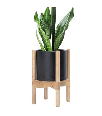 Amazon.com : D'vine Dev Ceramic Planter with Natural Stand - 8
