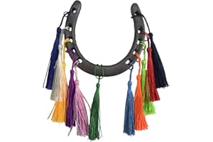 BUPOfromcn Lucky Horseshoe,Horse Shoe Decor Wall,Horse Shoes For Decorations, Medium Horseshoe Durable Cast Iron 5 Holes On Each Side For Indoor Or Outdoor(Fortune fringe)