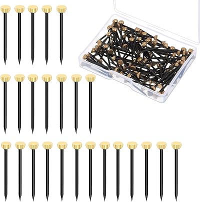 Rowwait 50Pcs Picture Hanging Nails Brass Steel 2.5x0.4 cm with Box