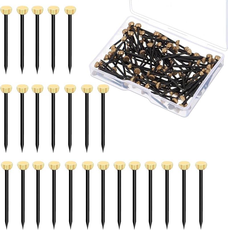 Rowwait 50Pcs Picture Hanging Nails Brass Steel 2.5x0.4 cm with Box